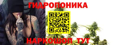 не бодяженный Заводоуковск