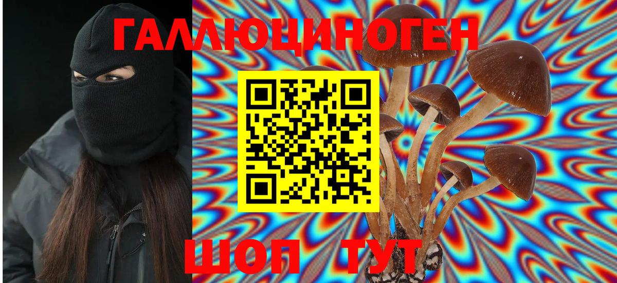 Галлюциногенные грибы GOLDEN TEACHER  Вход с VPN  Кыштым 